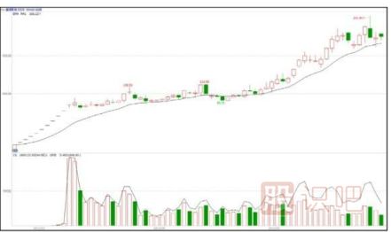 題材炒作之名人效應