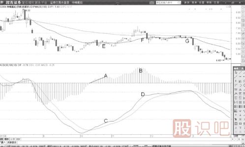 MACD指標中的柱子是怎么看的？